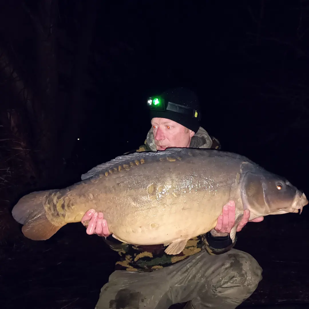 Mirror known as paw print | Total Carp